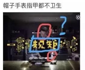 网红爆料视频公布网站,知名网站幕后真相曝光  第1张