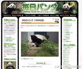 熊猫天天最新新闻爆料,最新热点事件内幕曝光  第2张